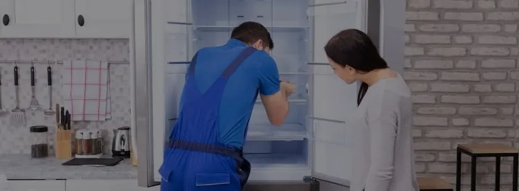Ремонт холодильников Exqvisit